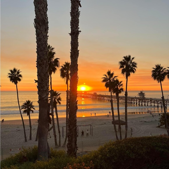 Meet your Posher, Teri - Picture 2 of 12